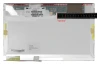 15.4" WXGA 30pin Glare LCD Display