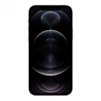 Apple iPhone 12 Pro 128GB (Granitgr&aring;) - Grade C