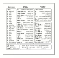 Sticker - Keyboard Shortcut office software - Word Exel Windows - transparent
